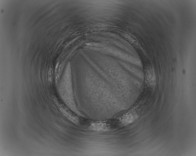 X0000081390470200702020300