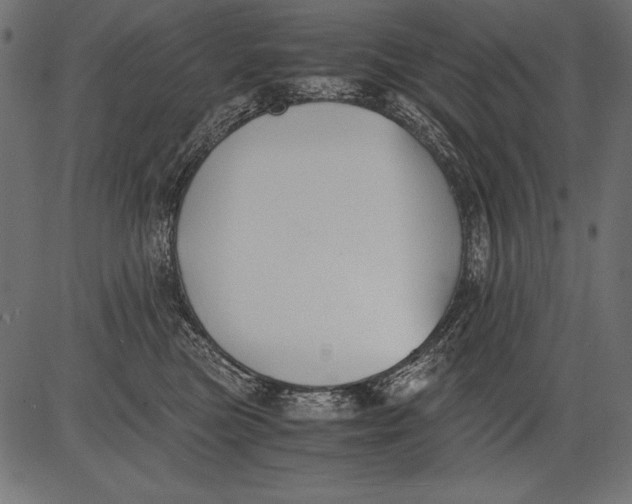 X0000081390473200702020300