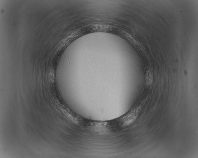 X0000081390474200702020300