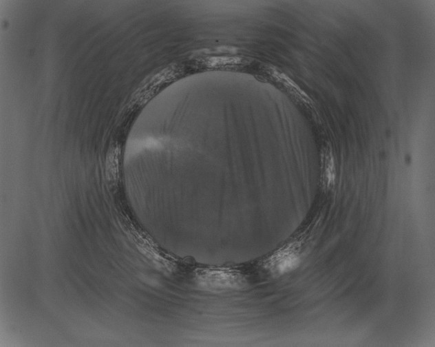 X0000081390475200702020300