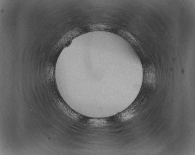 X0000081390477200702020300