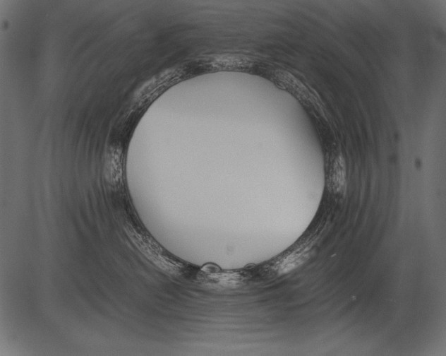 X0000081390478200702020300