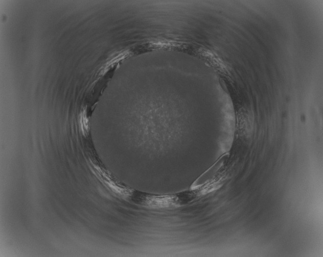 X0000081390479200702020300