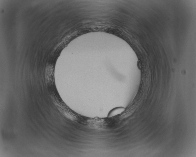 X0000081390480200702020300