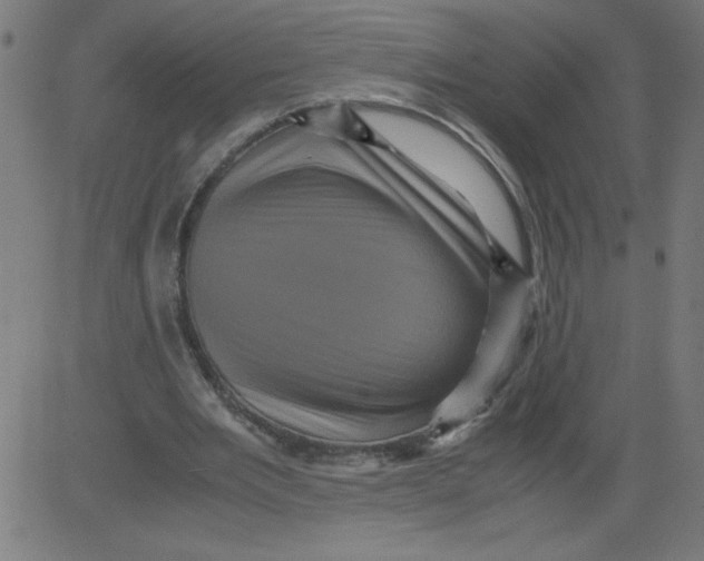 X0000081390485200702020259