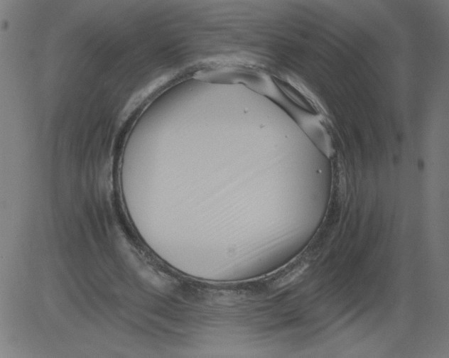 X0000081390486200702020259