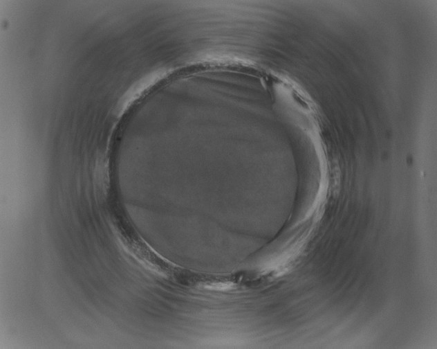 X0000081390488200702020259