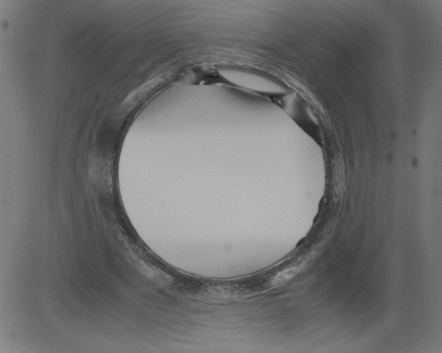 X0000081390489200702020259