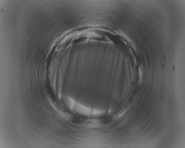 X0000081390492200702020259