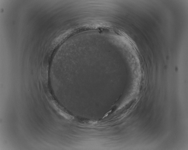 X0000081390493200702020259