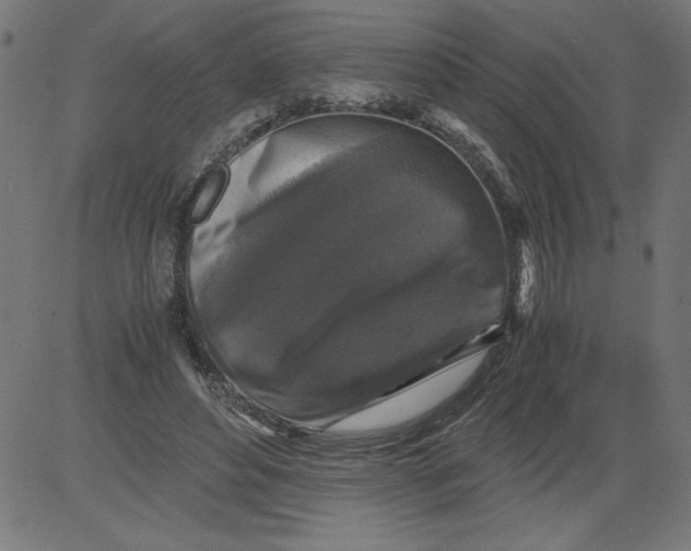 X0000081390496200702020259