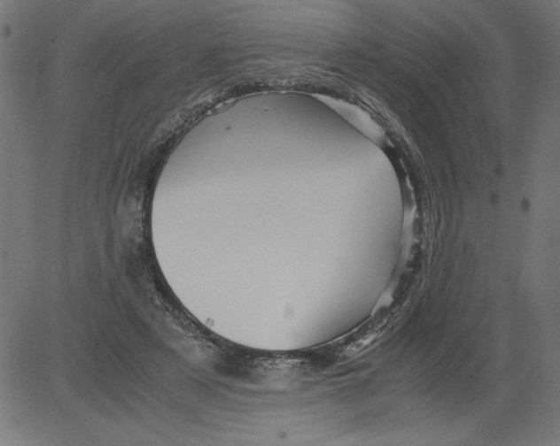 X0000081390497200702020259