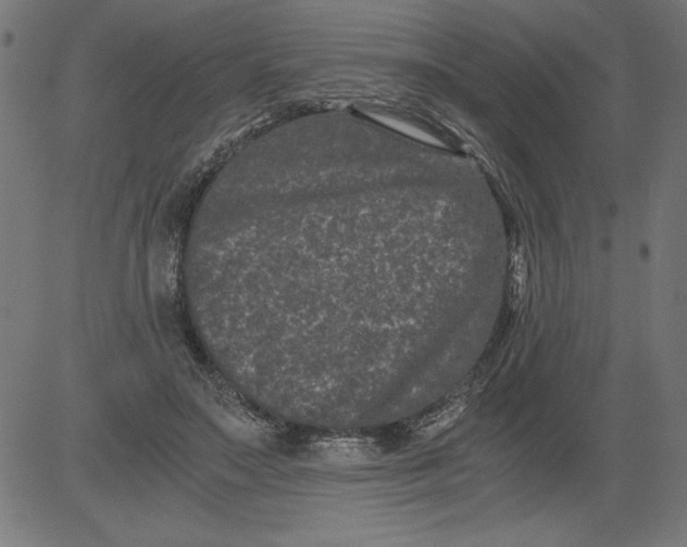 X0000081390499200702020259