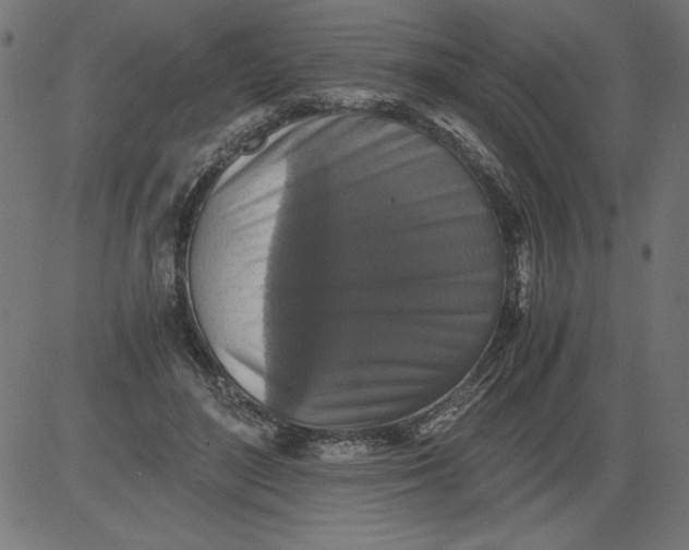 X0000081390500200702020259