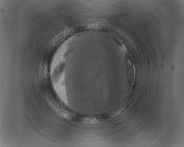 X0000081390502200702020259