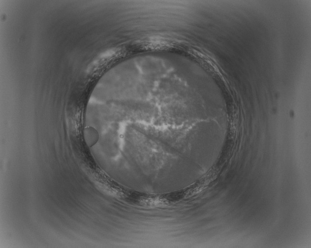 X0000081390503200702020259