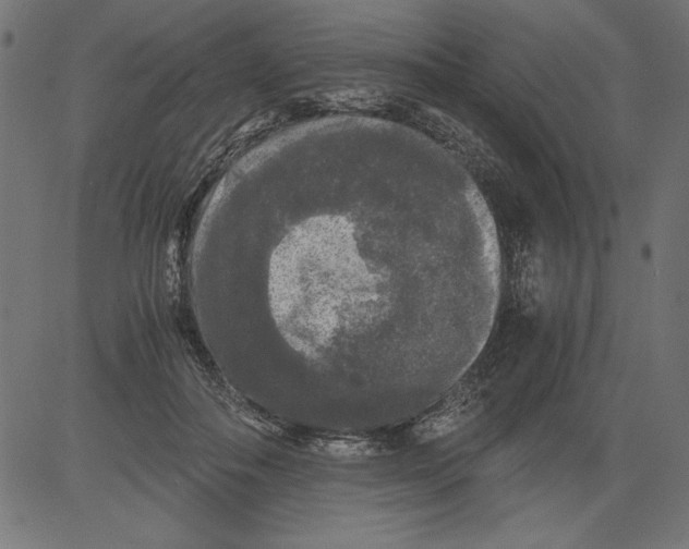 X0000081390506200702020259