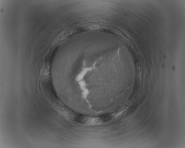 X0000081390507200702020259