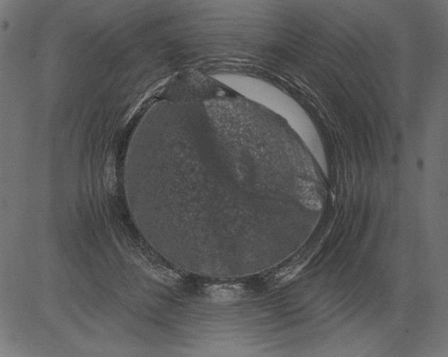 X0000081390508200702020259