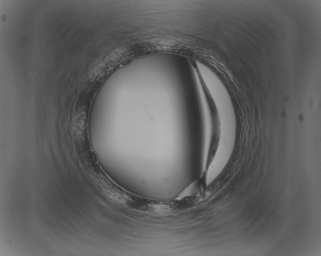 X0000081390509200702020259