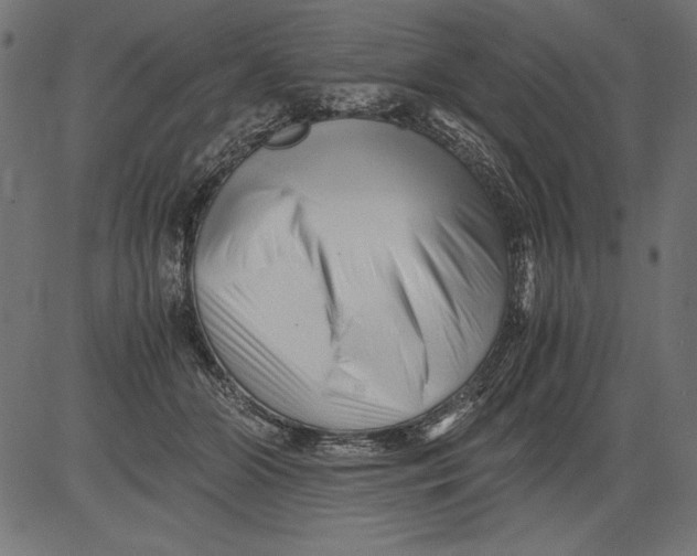 X0000081390510200702020259