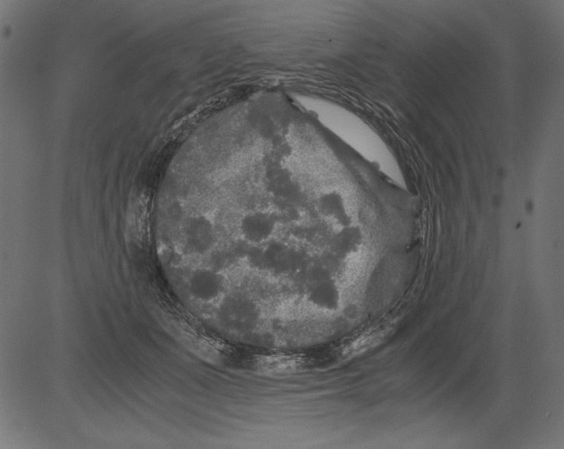 X0000081390511200702020258