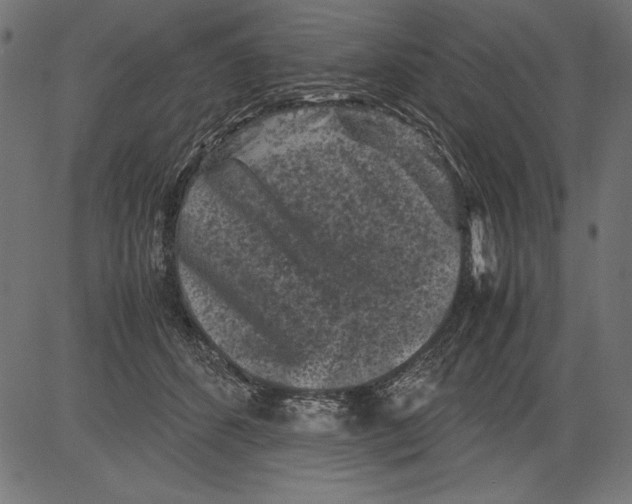 X0000081390512200702020258