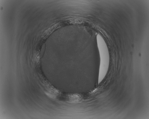 X0000081390513200702020258