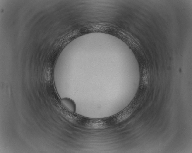 X0000081390514200702020258