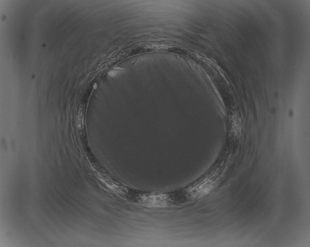 X0000081390517200702020258