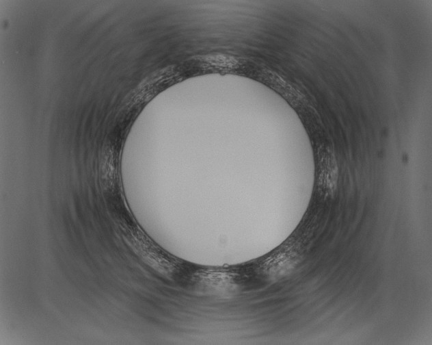 X0000081390518200702020258