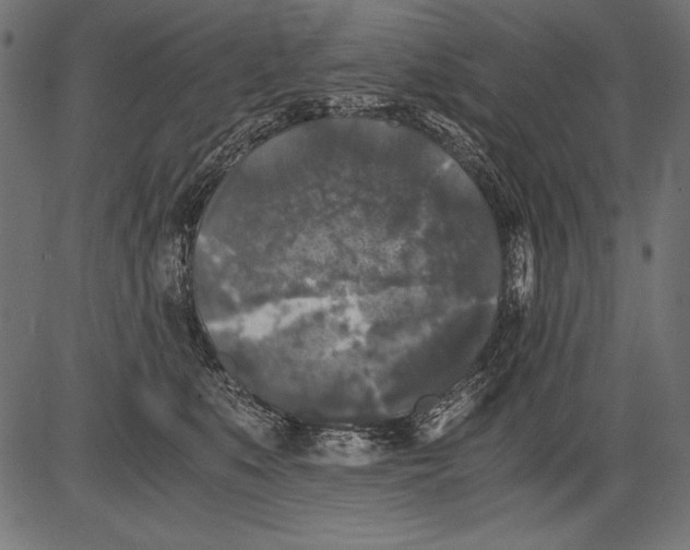 X0000081390519200702020258