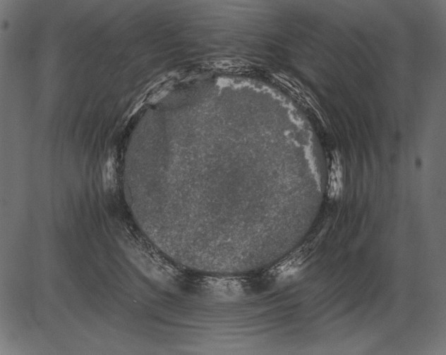 X0000081390520200702020258