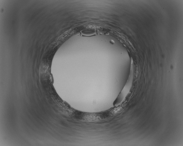 X0000081390521200702020258