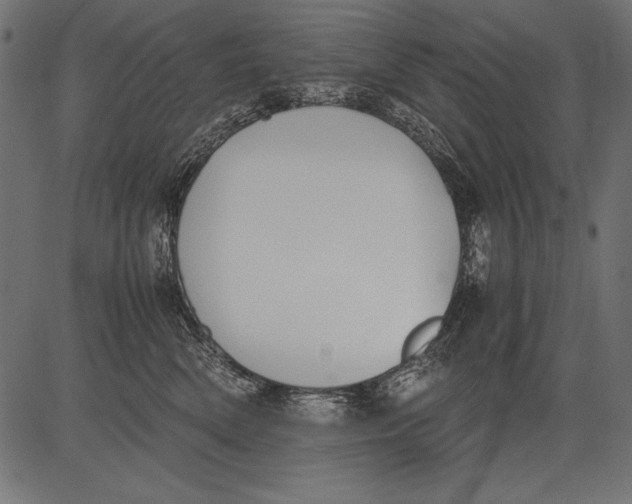 X0000081390522200702020258