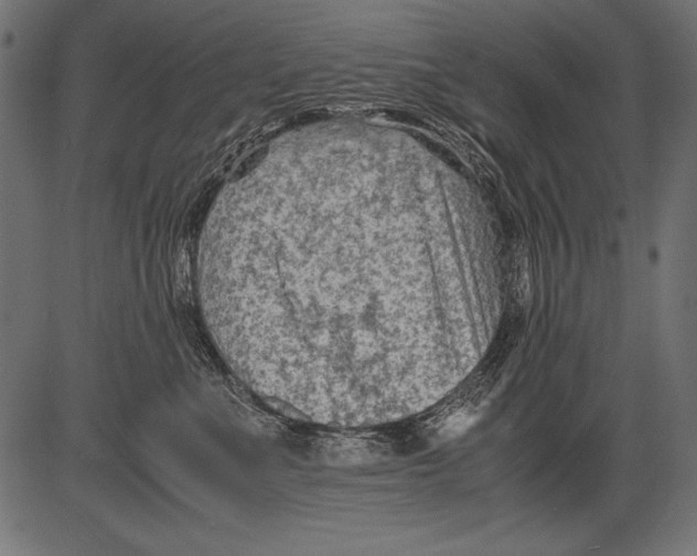 X0000081390523200702020258