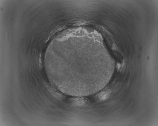 X0000081390524200702020258