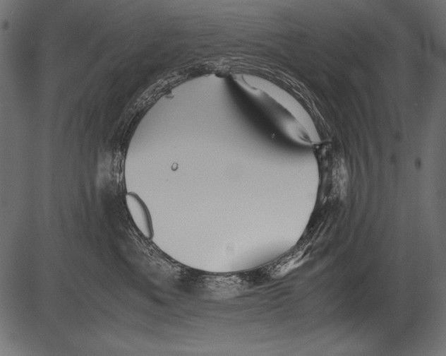 X0000081390525200702020258