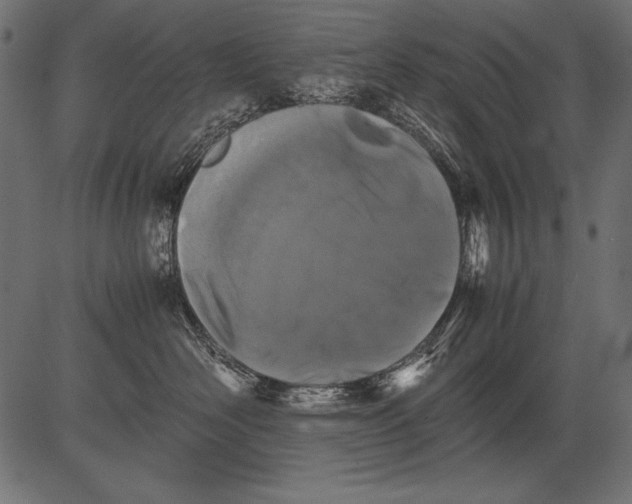 X0000081390526200702020258