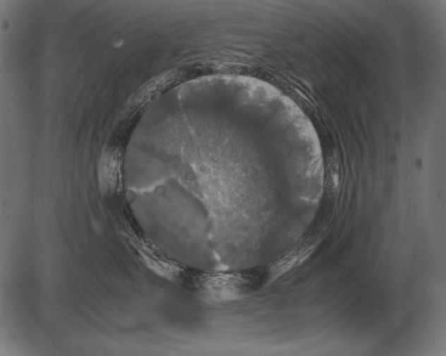 X0000081390527200702020258