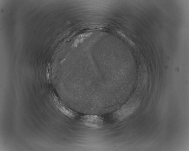 X0000081390528200702020258