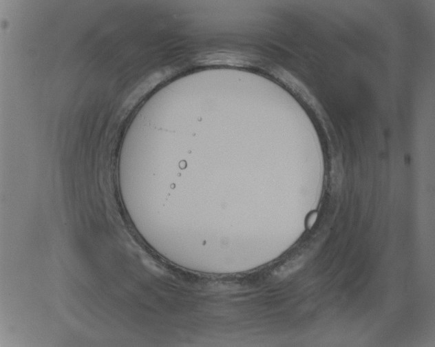 X0000081390529200702020257