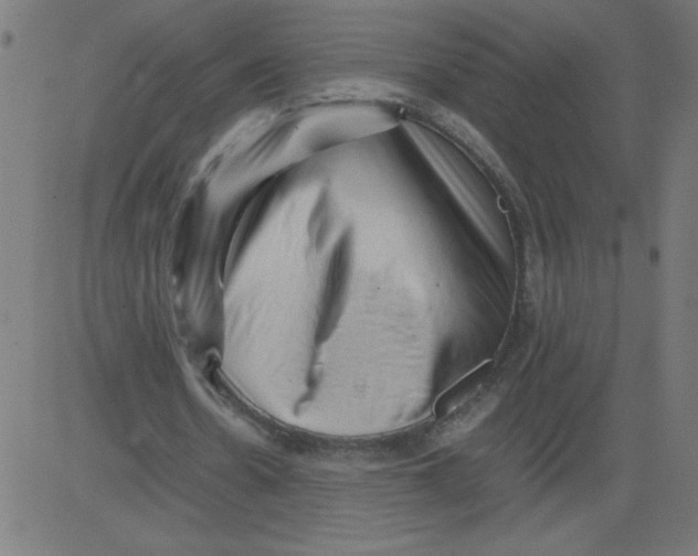 X0000081390530200702020257