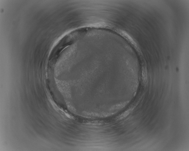 X0000081390532200702020257