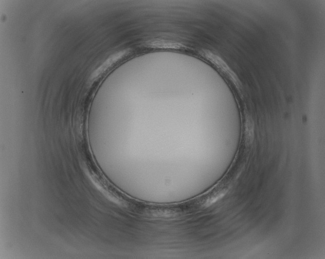 X0000081390533200702020258