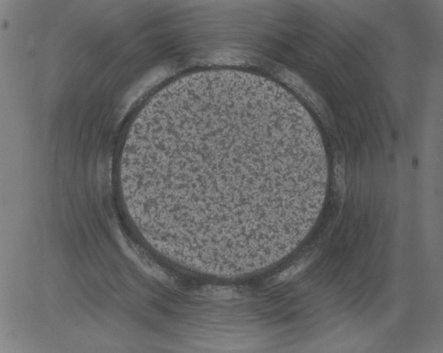 X0000081390534200702020258