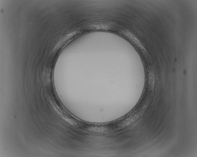 X0000081390537200702020258