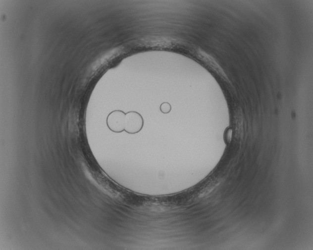 X0000081390538200702020258