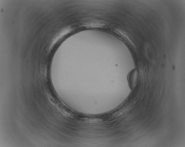 X0000081390539200702020258