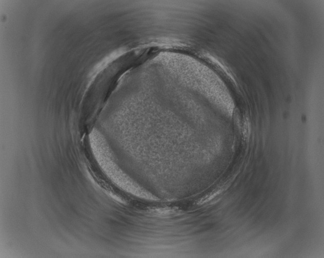 X0000081390540200702020258